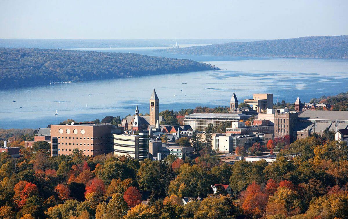 Cornell AI Healthcare Leadership Program | Apply Now